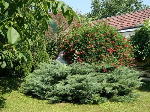 2-zimmer, 58 M2