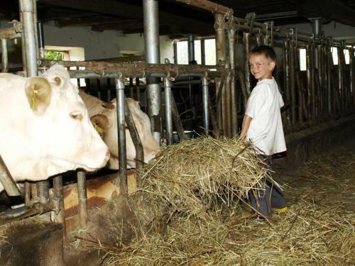 Agroturismo Ferienwohnung Am Oberrainerhof