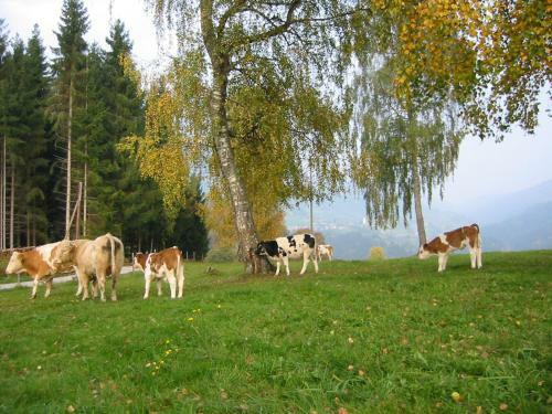 Agroturismo Ferienwohnung Am Oberrainerhof