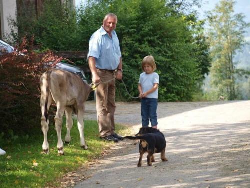 Agroturismo Hochfelner - Stockerhof