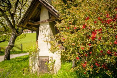 Apartamento Walcherhof