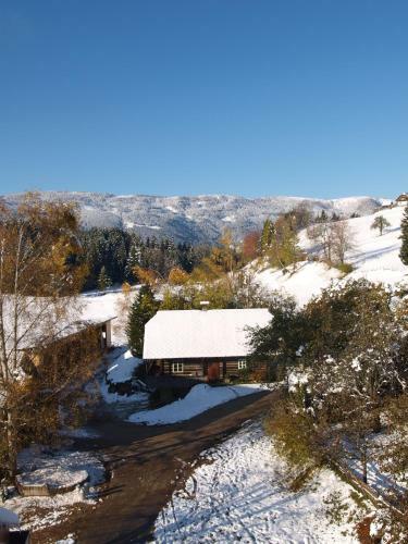 Apartamento Walcherhof