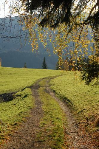 Apartamento Walcherhof