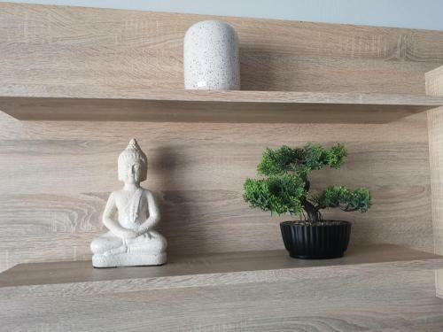 Zen Apartman - Miskolc
