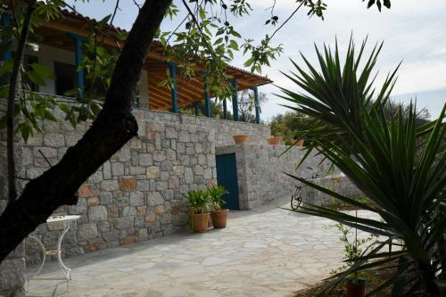 Villa Vanua House