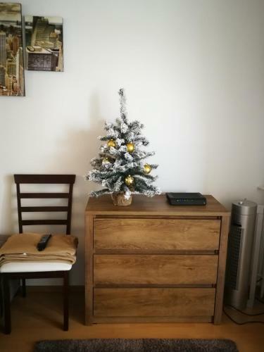 Ida Apartman