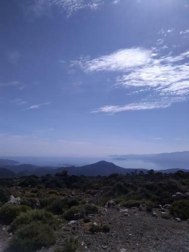 Mountain To Sea Hide-out