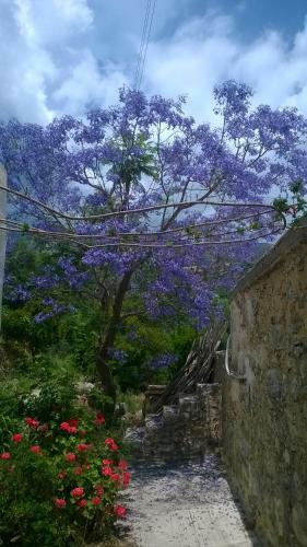 Comfortable Family House Nearby Mirtos