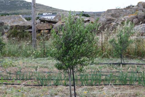 Apartamento Ktima Panagia