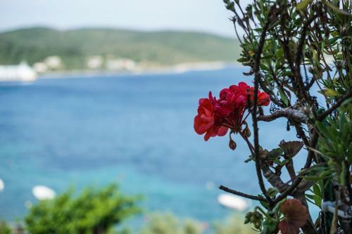 Apartamento Alex Studios