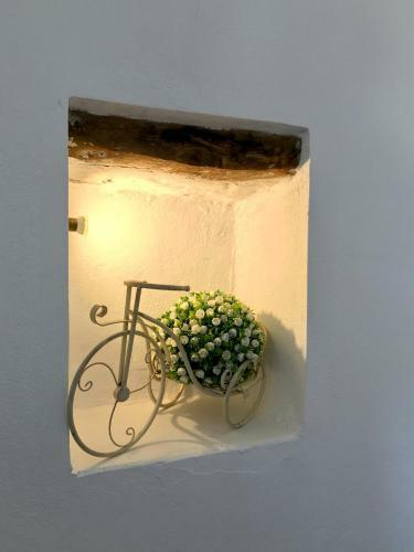 Bio Garden Stonehouse