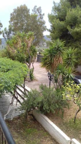 Apartamento Villa Galaxidi