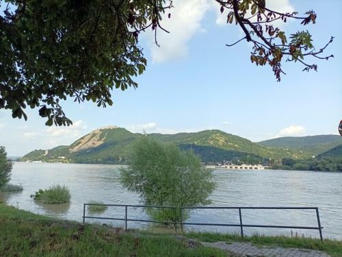 Apartamento Z�ldfa8