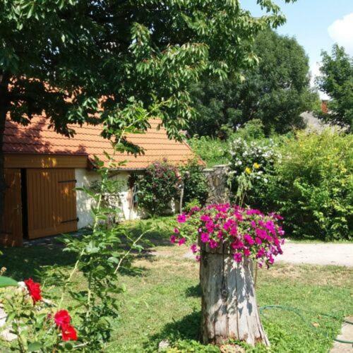 Hostal Szigony Vend�gh�z
