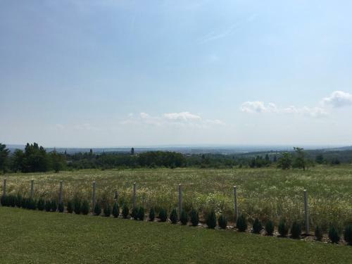 Balatonview - Villa Myriam