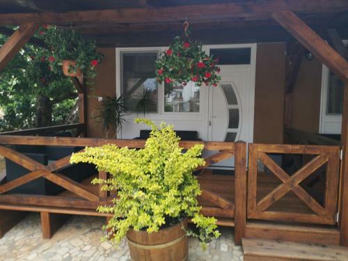 Bed & Breakfast Napsug�r Panzi�