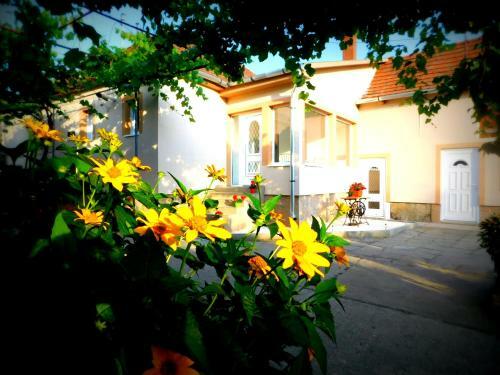 Hostal Boutique Vend�gh�z Vid�ki Idill Noszvaj