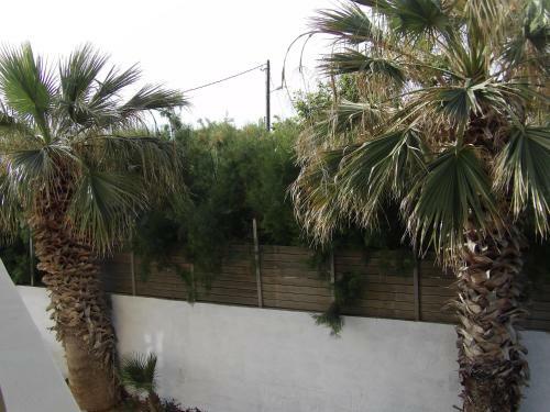 Apartamento Teo 3
