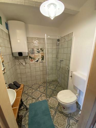 �ri Koma Vend�gh�z