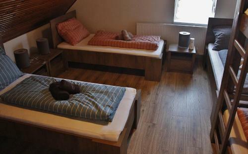 Hostal Sz�chenyi Vad�szh�z