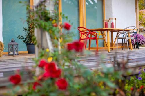 Apartamento Boglya �koh�z
