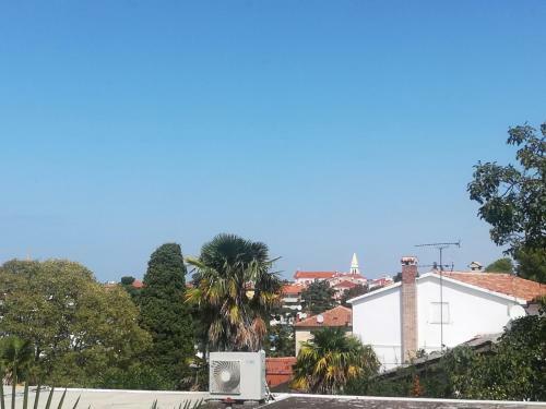 Apartment Jozefina