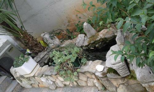 Apartment Jozefina