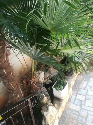 Apartment Jozefina
