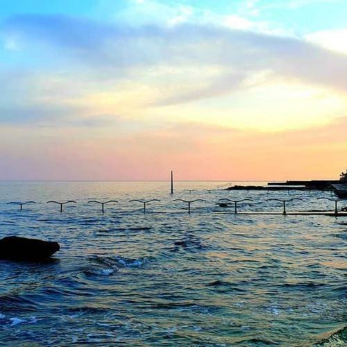 Apartmani Marina Pore?