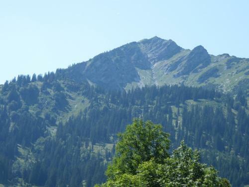 Apartamento Ferienwohnungen Durst Roswitha