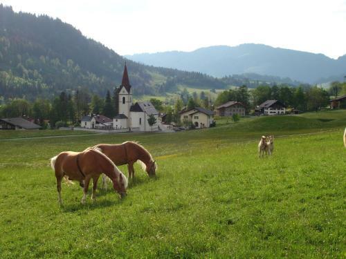 Apartamento Auf Der Sonnenseite
