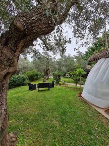 Bill's Garden Villa