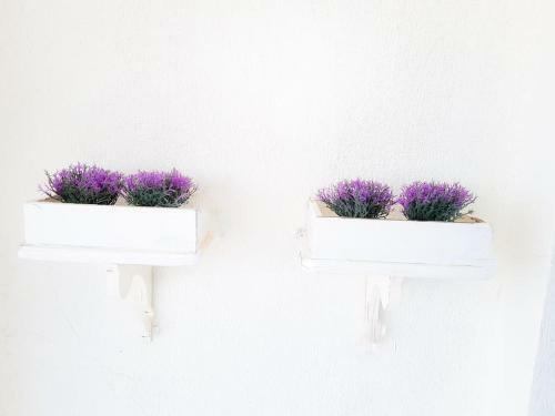 Apartamento Blue4u
