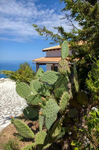 Villa Skyfall