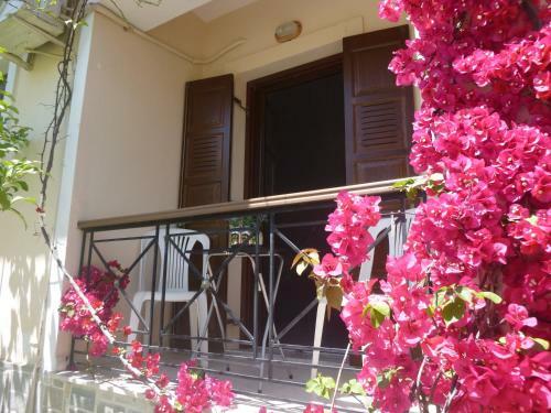 Evgenia's House