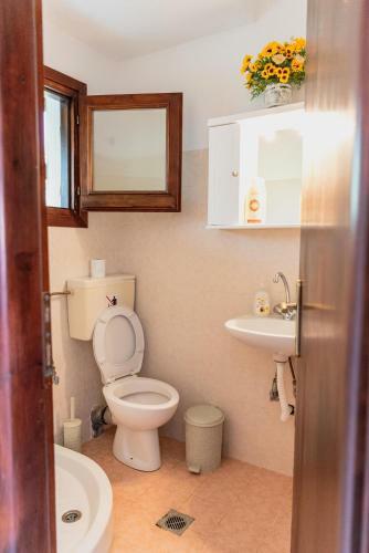 Diamond Farm Villa