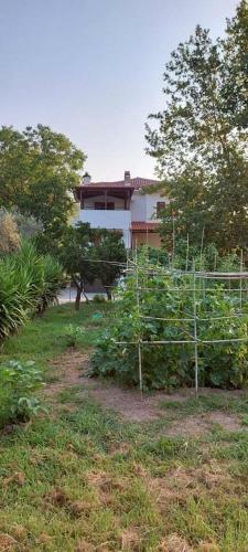 Diamond Farm Villa