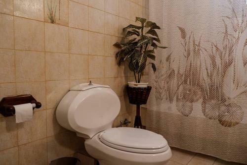 Villa Lagonissi Luxury-comfort-private Residence