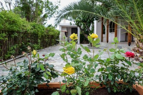 Villa Lagonissi Luxury-comfort-private Residence
