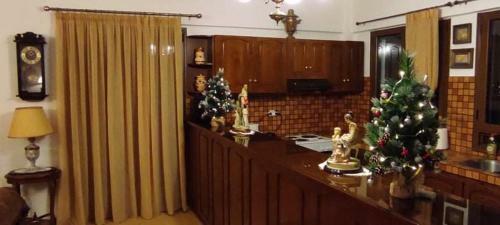 Villa Lagonissi Luxury-comfort-private Residence