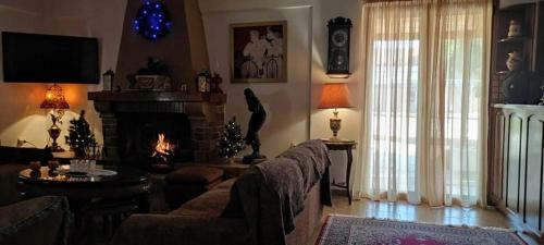 Villa Lagonissi Luxury-comfort-private Residence