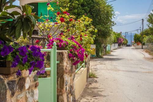 Millers Guest House
