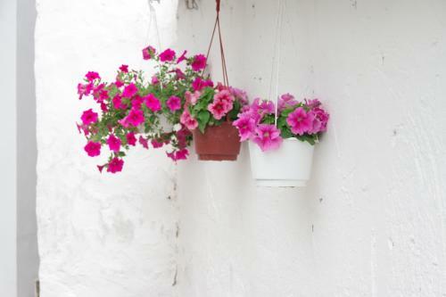 Cozy Traditional House In Thassos, Kallirachi