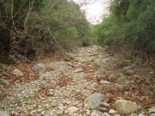 Jean's Cretan Cottage