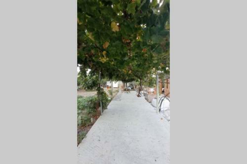 Apartamento Vassilis And Ioanna Modern House With View