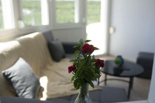 Apartamento Vassilis And Ioanna Modern House With View