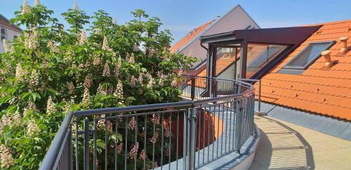 Piacsek Apartmanh�z