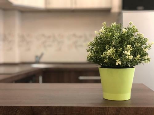 Exclusive Home - D. Apartman