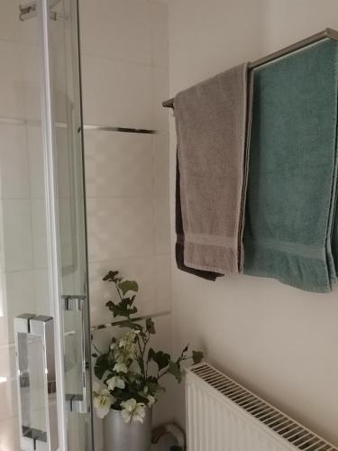 Apartamento Centrum11