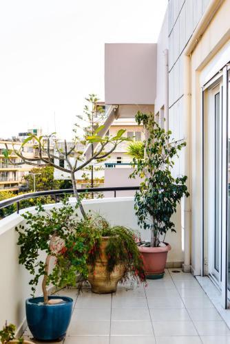 "the Green House" Modern Central Apartment